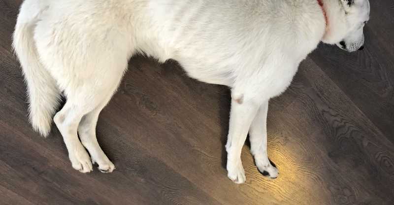 #13. Hot August 2019